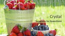  Presentation with blueberries - Cool new slide deck with blueberries in the morning rain backdrop and a soft green colored foreground