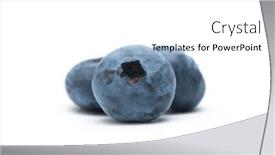  Presentation with blueberries - Cool new PPT theme with blueberries-isolated-on-white backdrop and a white colored foreground