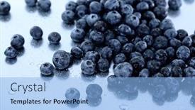  Presentation with blueberries - PPT layouts having blueberries on metal background background and a light blue colored foreground