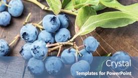  Presentation with blueberries - Colorful PPT theme enhanced with blueberries-on-the-wooden-table backdrop and a teal colored foreground