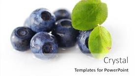  Presentation with blueberries - Theme with blueberries over white background shallow depth of field background and a white colored foreground