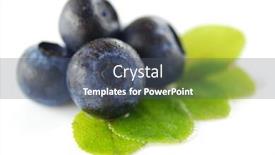  Presentation with blueberries - Audience pleasing slides consisting of blueberries over white background shallow depth of field backdrop and a dark gray colored foreground
