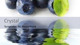  Presentation with blueberries - PPT layouts with blueberries over white background shallow depth of field background and a light blue colored foreground
