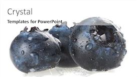 Presentation with blueberries - Audience pleasing slides consisting of blueberries studio isolated on white background backdrop and a white colored foreground