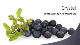  Presentation with blueberry - PPT theme enhanced with blueberries with blueberry flower and leaf sprig isolated over white background background and a white colored foreground