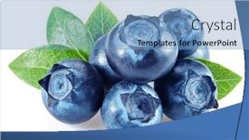  Presentation with blueberry - Slide deck consisting of blueberries-with-blueberry-leaves-isolated background and a teal colored foreground