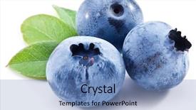  Presentation with blueberry - Amazing PPT theme having blueberries with blueberry leaves backdrop and a teal colored foreground
