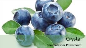  Presentation with food white - Beautiful presentation theme featuring blueberries with blueberry leaves backdrop and a seafoam green colored foreground