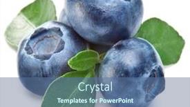  Presentation with blueberries - Presentation enhanced with blueberries with leaves on white background and a ocean colored foreground