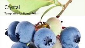  Presentation with blueberries - Cool new PPT theme with blueberries with leaves on a white background studio isolated backdrop and a soft green colored foreground