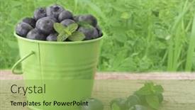  Presentation with blueberries - Slides enhanced with blueberries background and a yellow colored foreground