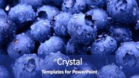  Presentation with fresh water - Cool new slides with blueberry - background full of fresh ripe backdrop and a ocean colored foreground