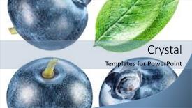  Presentation with blueberries - Beautiful slide set featuring blueberry - blueberries and blueberries leaves macro backdrop and a light blue colored foreground
