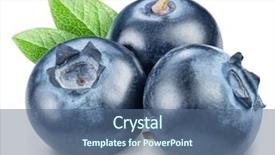  Presentation with blueberry - Presentation featuring blueberry - blueberries and blueberries leaves macro background and a ocean colored foreground