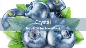  Presentation with blueberries - PPT layouts featuring blueberry - blueberries and blueberries leaves macro background and a teal colored foreground