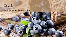  Presentation with blueberry - PPT theme with blueberry - blueberries have dropped background and a coral colored foreground