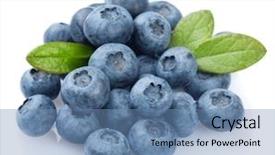  Presentation with blueberry - Slide deck with blueberry - blueberries on white background background and a teal colored foreground