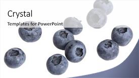  Presentation with blueberry - Audience pleasing slide deck consisting of blueberry - blueberries on white background backdrop and a white colored foreground