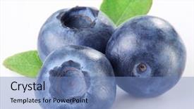 Presentation with blueberry - Slide deck enhanced with blueberry - blueberries with leaves on white background and a teal colored foreground
