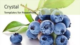  Presentation with blueberry - Amazing slide set having blueberry - blueberries with leaves backdrop and a blonde colored foreground