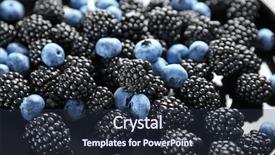  Presentation with blueberry - Audience pleasing theme consisting of blueberry - closeup of blackberries and blueberries backdrop and a tawny brown colored foreground