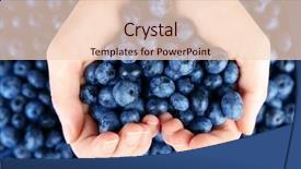  Presentation with blueberry - Colorful presentation enhanced with blueberry - female hands holding tasty ripe backdrop and a lemonade colored foreground