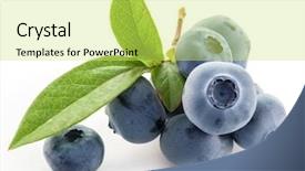  Presentation with berries - Audience pleasing slides consisting of blueberry - ripe berries in the wooden backdrop and a yellow colored foreground