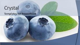  Presentation with blueberry - Slides with blueberry - ripe blueberries on the white background and a light blue colored foreground