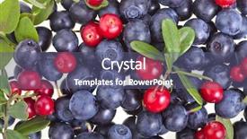  Presentation with frozen foods raspberry blueberry cranberry - Colorful PPT layouts enhanced with blueberry and cranberry isolated on white backdrop and a ocean colored foreground