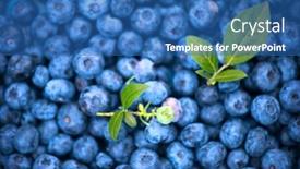  Presentation with market food - Audience pleasing slide deck consisting of blueberry-background-ripe-and-juicy backdrop and a ocean colored foreground