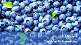  Presentation with blueberry - Slide deck featuring blueberry background ripe and juicy background and a teal colored foreground