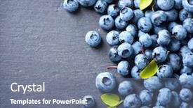  Presentation with healthy food - Theme enhanced with blueberry border design ripe background and a seafoam green colored foreground