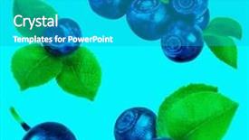  Presentation with aqua - Cool new PPT theme with blueberry collection set closeup macro isolated on aqua background backdrop and a teal colored foreground