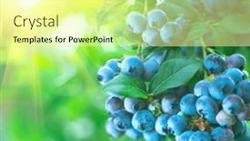 Presentation with blue food - Slide deck enhanced with blueberry-fresh-and-ripe-organic background and a blonde colored foreground