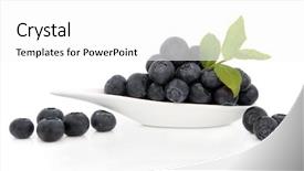  Presentation with porcelain - Slide deck consisting of blueberry fruit with leaf sprig in a porcelain dish and loose over white background background and a white colored foreground