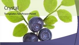  Presentation with chemistry leaves green leaf - Colorful slide set enhanced with blueberry heap with green leaves backdrop and a yellow colored foreground