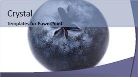  Presentation with blueberry - Audience pleasing slide deck consisting of blueberry in closeup backdrop and a teal colored foreground