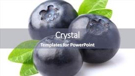  Presentation with blueberry - Presentation featuring blueberry in closeup background and a gray colored foreground