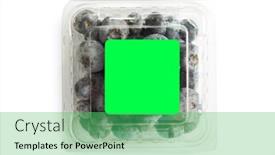  Presentation with plastic bag - PPT layouts enhanced with blueberry-in-plastic-bag-isolated background and a seafoam green colored foreground