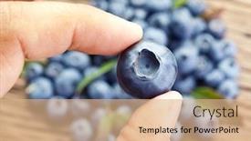  Presentation with blueberry - Theme with blueberry in the man's hand blueberries over old wooden table in the background background and a coral colored foreground