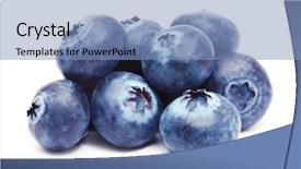  Presentation with scroll paper isolated on white - Cool new slides with blueberry isolated on white background backdrop and a teal colored foreground