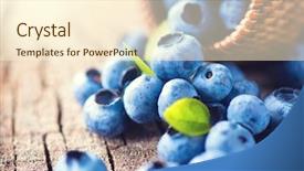  Presentation with blueberry - Cool new slides with blueberry on wooden table background backdrop and a cream colored foreground