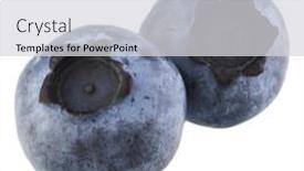  Presentation with blueberry - Slide set having blueberry-or-bilberry-isolated background and a light gray colored foreground