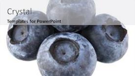  Presentation with blueberry - Slides with blueberry-or-bilberry-isolated background and a  colored foreground