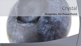  Presentation with blueberry - PPT theme with blueberry-or-bilberry-isolated background and a light gray colored foreground