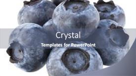  Presentation with blueberry - PPT theme having blueberry-or-bilberry-isolated background and a  colored foreground
