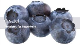  Presentation with blueberry - Presentation theme with blueberry-or-bilberry-isolated background and a ocean colored foreground