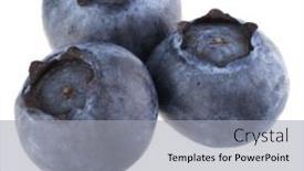 Presentation with blueberry - Theme enhanced with blueberry-or-bilberry-isolated background and a light gray colored foreground