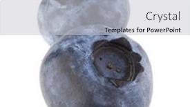  Presentation with blueberry - Presentation theme consisting of blueberry-or-bilberry-isolated background and a light gray colored foreground