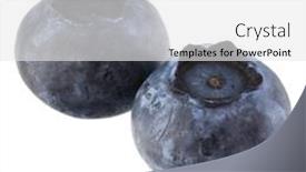  Presentation with blueberry - Presentation design having blueberry-or-bilberry-isolated background and a white colored foreground